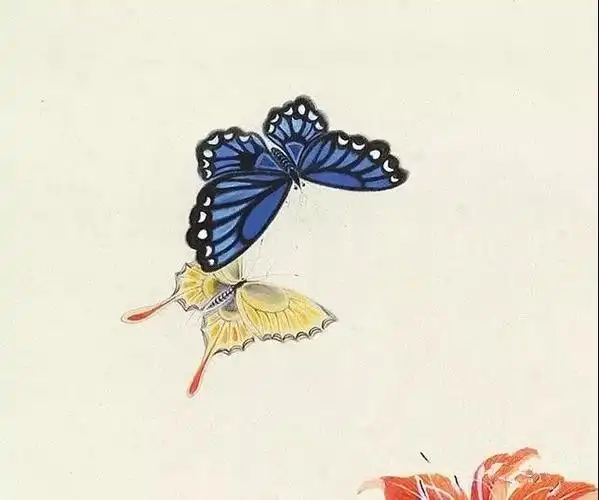 国画蝴蝶纸上来.感觉蝴蝶在动,太逼真了!