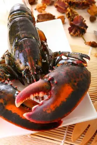 原只波士顿龙虾 (解冻即食)