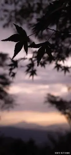 小众高级冷淡风格 手机壁纸