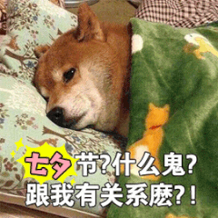 惊为天人_无节操_搞笑对话表情宝我今天输液了输什么液?