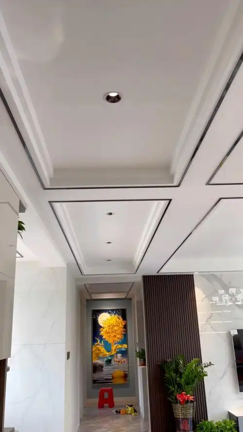 网红双眼皮吊顶