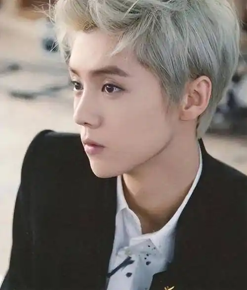 鹿晗家世背景强大吗,身份现在无人知道,王思聪都不敢轻易说话_生活_高