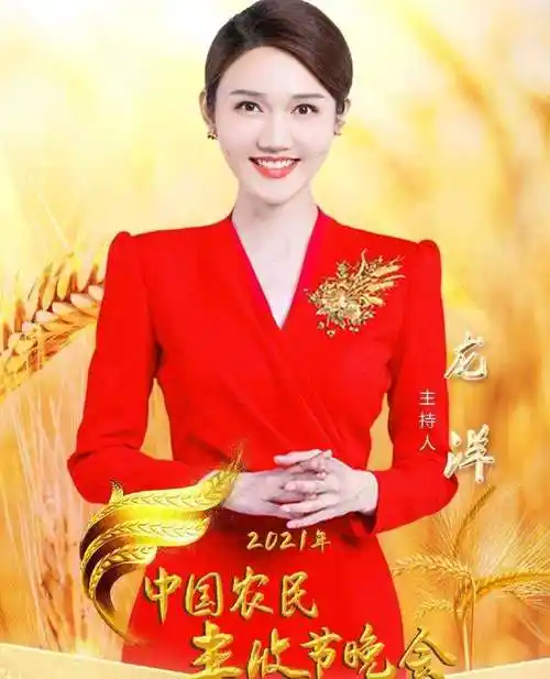 龙洋央视主持人的三级的简单介绍