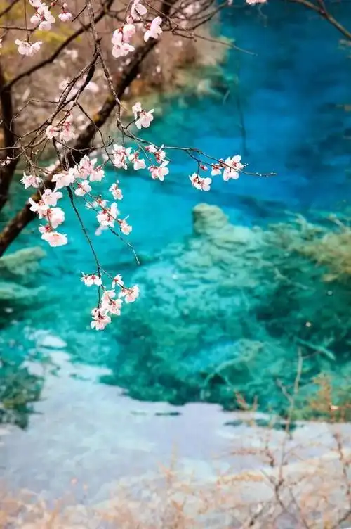 最好看的风景图,好看的风景图片(四川10个最美风景)