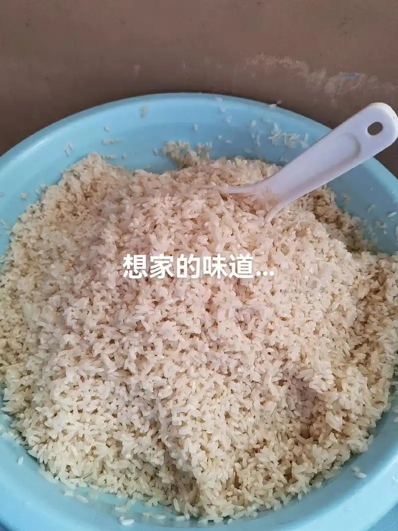 每次回家都不忘摘些粽叶,今天粽子就安排上了…#手工肉粽做法  - 抖音