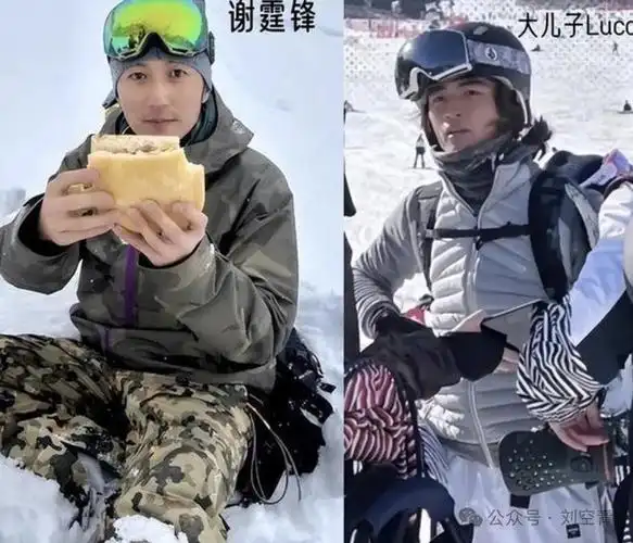 王菲|张柏芝|谢霆锋|谢振轩|姐弟恋_网易订阅