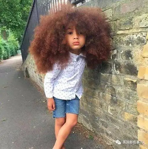 男孩的头发竟然突然"爆炸",网友们惊呆了