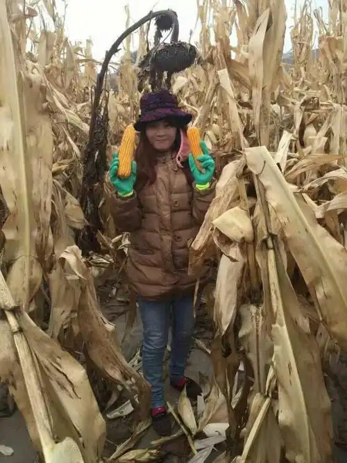 90后农村姑娘的创业故事