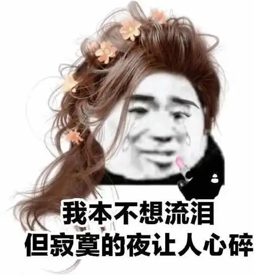 我本不想流泪但寂寞的夜让人心碎(熊猫头)