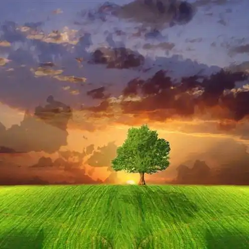 给自己带好运风景头像最美风景合集快来选一张吧