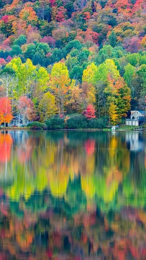 壁纸 秋天美丽的风景,森林,房子,湖,倒影 1920x1200 hd 高清壁纸