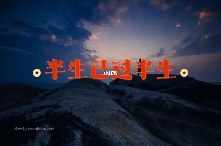 半生已过半生缘,九分酸楚一分甜,半坛烈酒迎风饮,留有一杯敬余年.