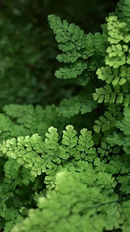 师弟!_(:зゝ∠)_从给嘟嘟带点吃的转采于2021-04-09 15:32:55绿