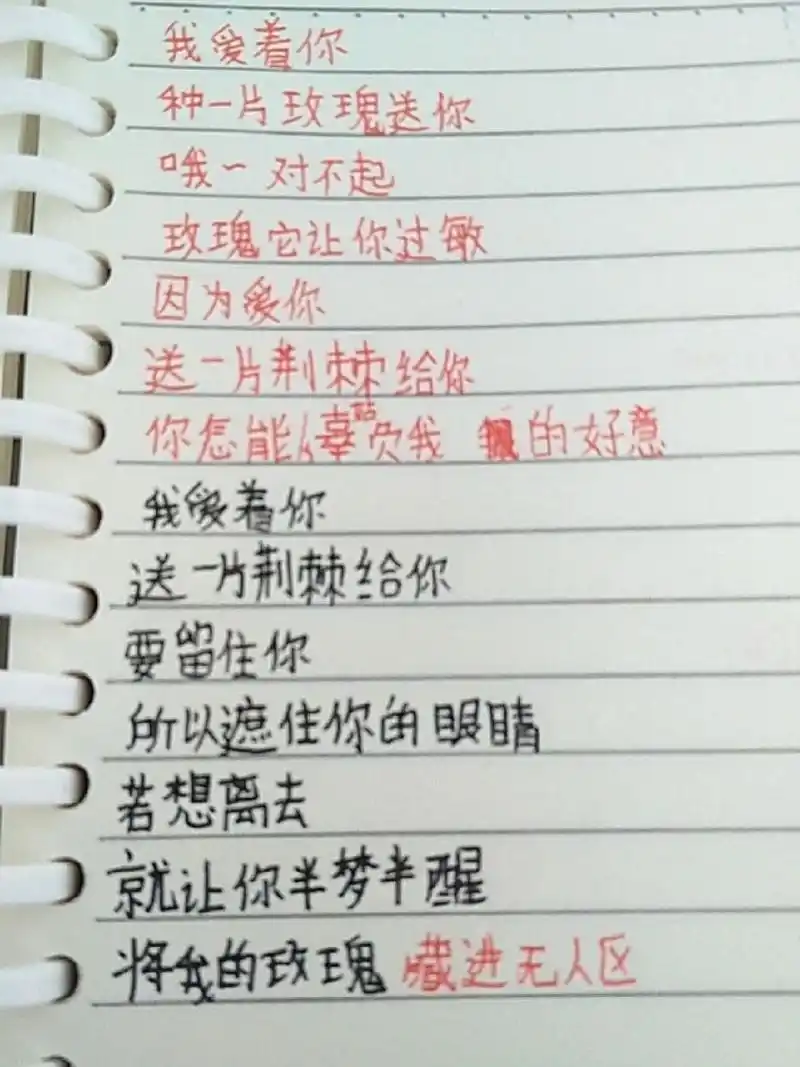 无人区玫瑰歌词