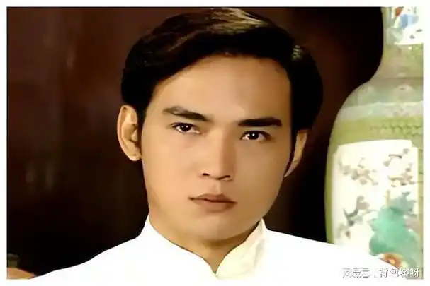 林瑞阳的演艺生涯中,最令人难忘的莫过于他在琼瑶剧《一帘幽梦》中的