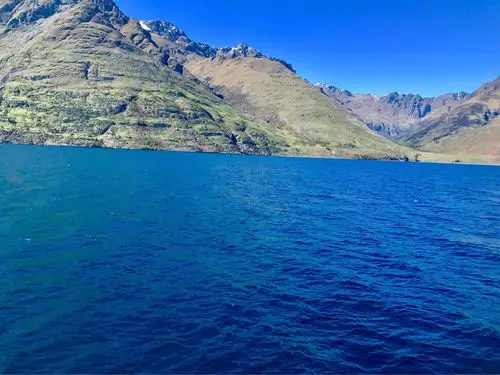 我看到夜幕降临后群星闪亮 那幽深夜空的深蓝色饱含着 生命,爱,希望和