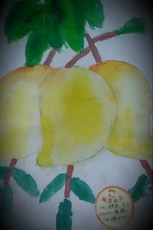雏鹰绘画——《芒果》水彩动漫班辅导老师张老师