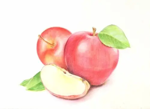 超写实的水果彩铅画,彩铅手绘美术作品