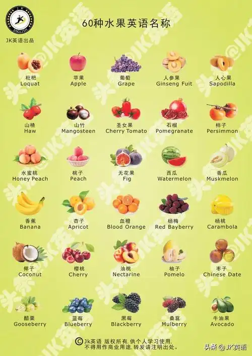 60种水果英语名称大全插图珍藏版