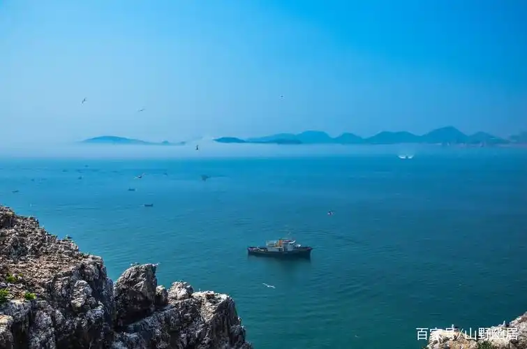 我国北方最美海岛,中国黑尾鸥之故乡,海景美的无可挑剔