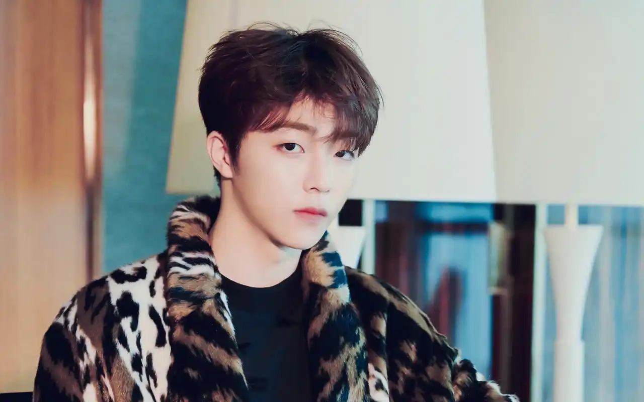 陈立农豹纹狂野不羁写真桌面壁纸