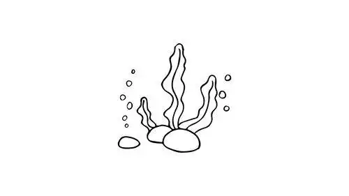 海洋植物简笔画图片简笔画|海底植物 7100简笔画海草文化绘画简笔画
