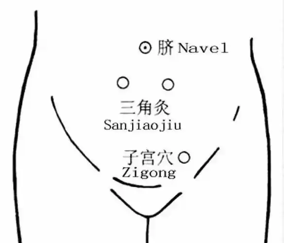 人体十大黄金三角区五个危险三角区一定养好了