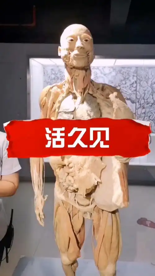 真人尸体标本,非常形象生动,竟然能够保存上千年!