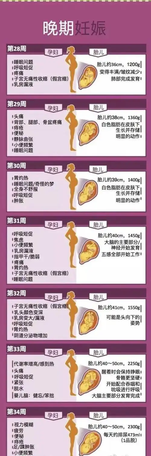 揭秘怀孕40周胎儿发育情况和孕妇的身体变化