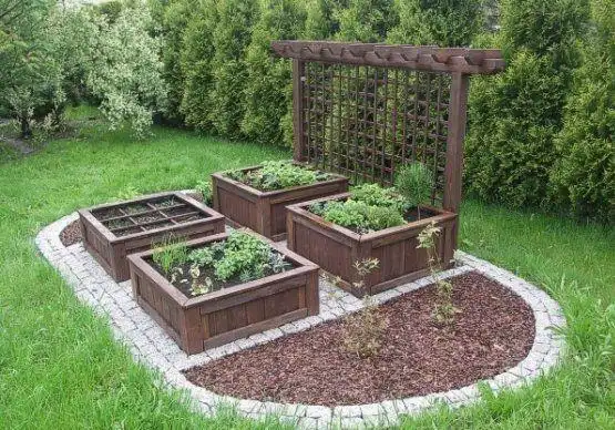 你家小院的"菜池"这样设计,最美|蔬菜|庭院|种植|菜园_网易订阅