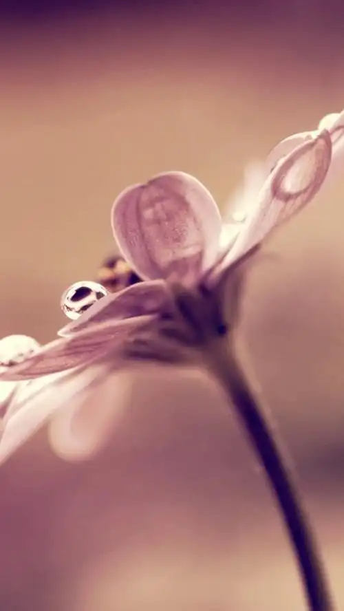 风景,唯美,自然,好看,手机壁纸漂亮自然风景图片好看的手机背景图片