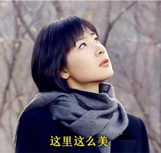 冬日恋歌还记得那股汹涌澎湃的韩流吗