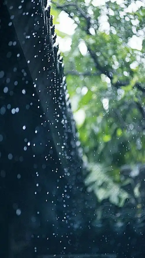 夏雨