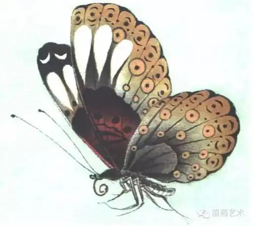 图文教程:李晓明工笔蝴蝶设色步骤示范(一)_部分
