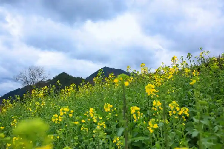 遇到多少坎坷, 只要我们执着的在路上, 最后看到的总是最美的风景