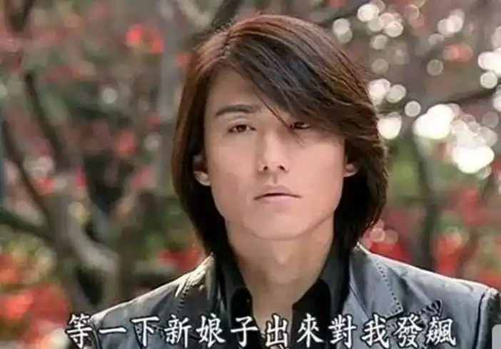 儿时回忆《真情告白》《粉红女郎》《双响炮》时候的男主胡兵