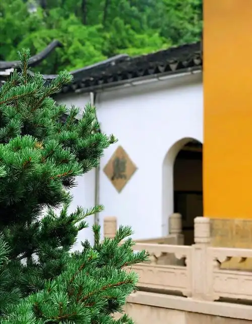 50张唯美禅意风景图片.高清淡雅意境壁纸,让人心静的自然美图