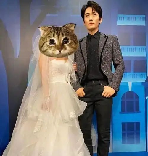 朱一龙婚纱照女粉丝穿婚纱与朱一龙合影