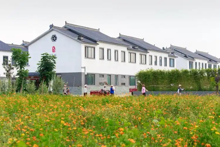 新农村高党风貌 - 美篇