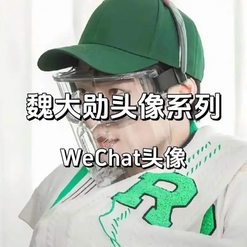 "我的美令人羡慕,遭人嫉妒,使人憎恶" #魏大勋#头像#孟宴 - 抖音