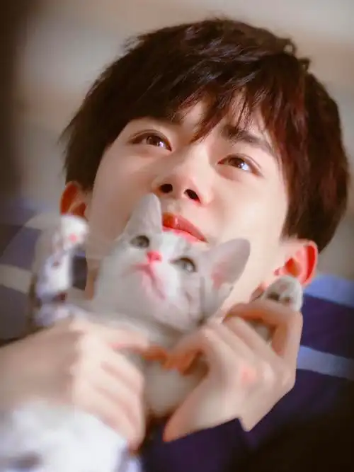 易烊千玺壁纸四字弟弟我的最爱