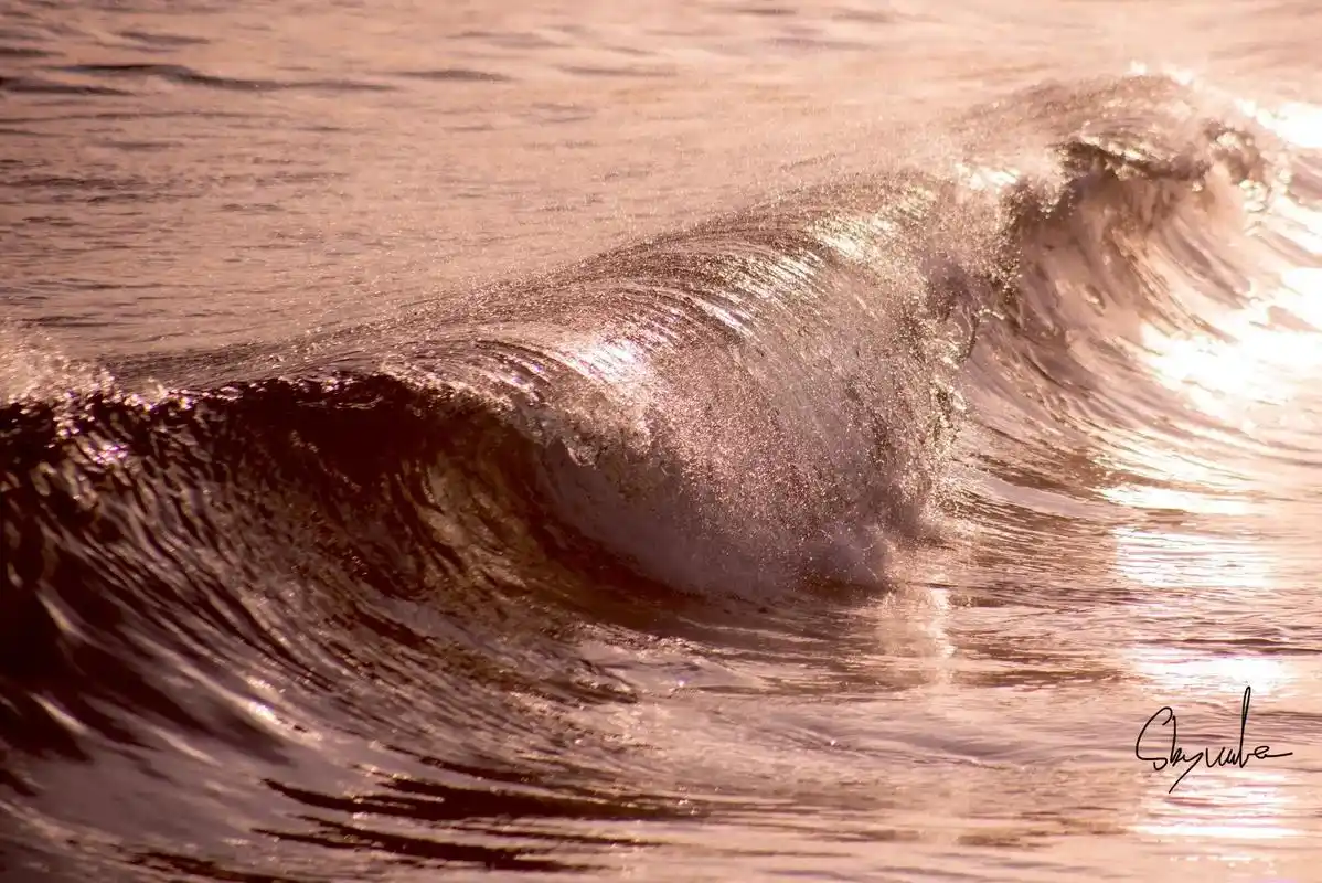 我的摄影日记 #浪花  - 抖音