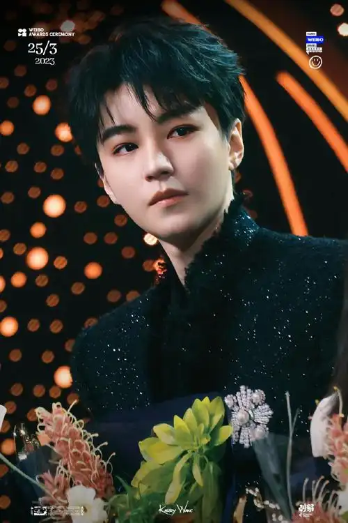 从开始到未来,只为王俊凯##王俊凯2024凯启甲辰