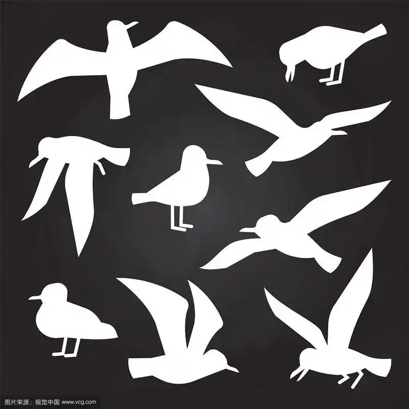 白色的小鸟像剪影一样在黑板上飞翔