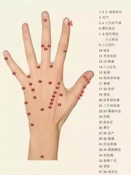 手指上的穴位,手指上面是什么部位