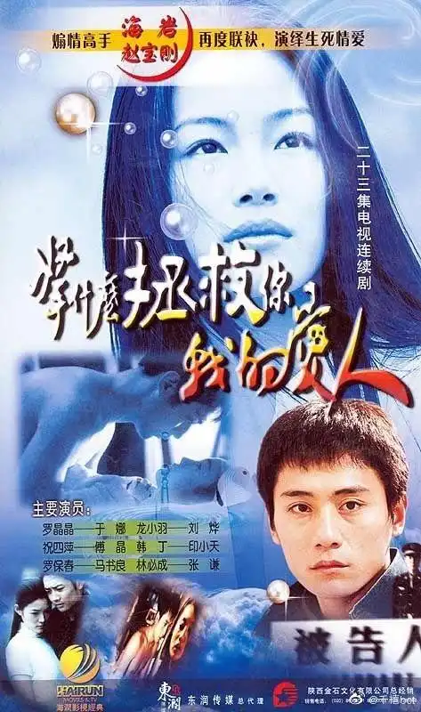 电视剧《拿什么拯救你,我的爱人》,2002"赵宝刚导演执导,海岩三部曲之