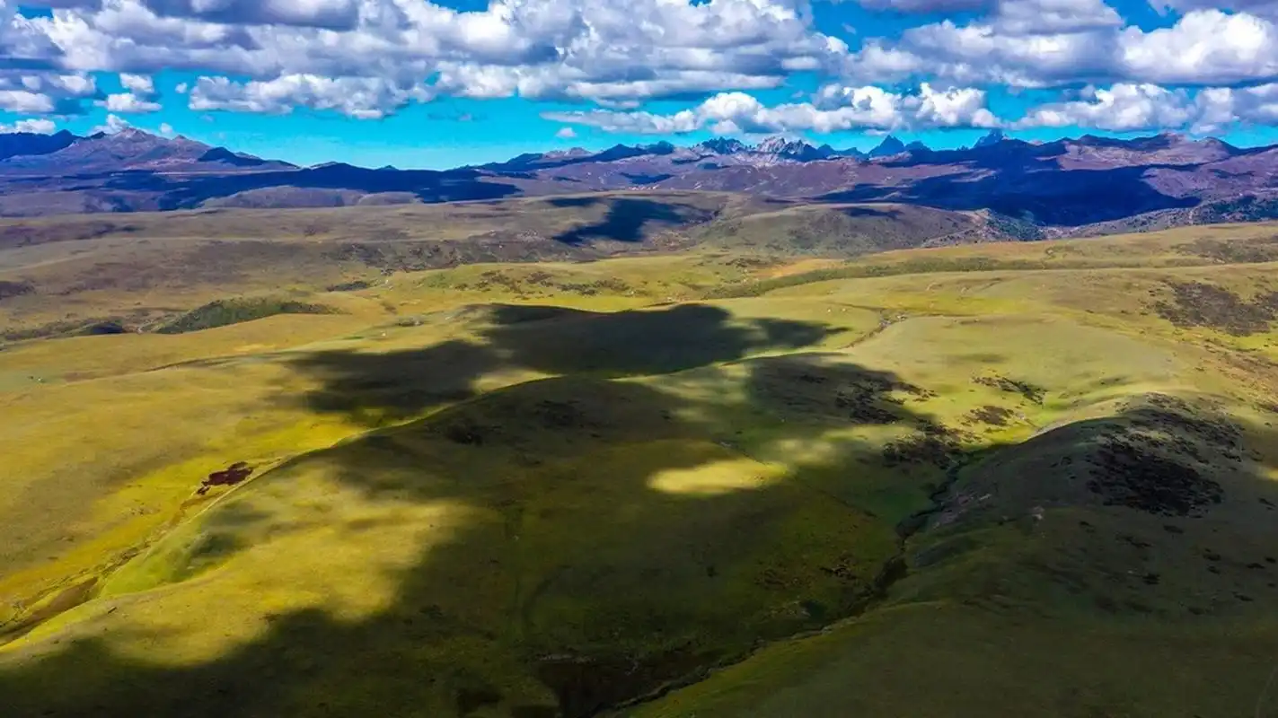 草原位于3730米的高原地带,面积超700平方公里,广袤无垠的高山草甸随
