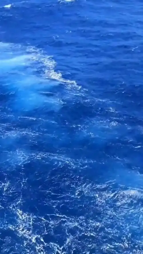 720_1280竖版 竖屏