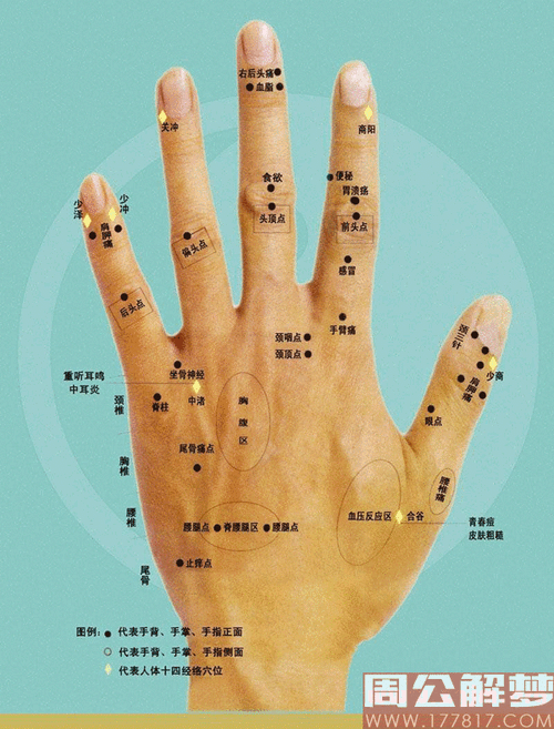 手上长痣面相图 男人女人手上长痣代表什么 - 看痣相 - 看相大全