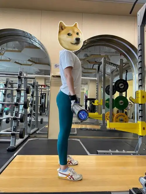 健身半年效果还行